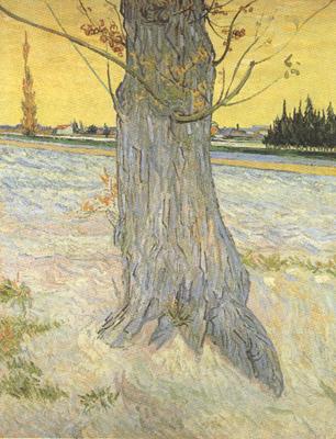 Vincent Van Gogh Trunk of an old Yew Tree (nn04) oil painting picture